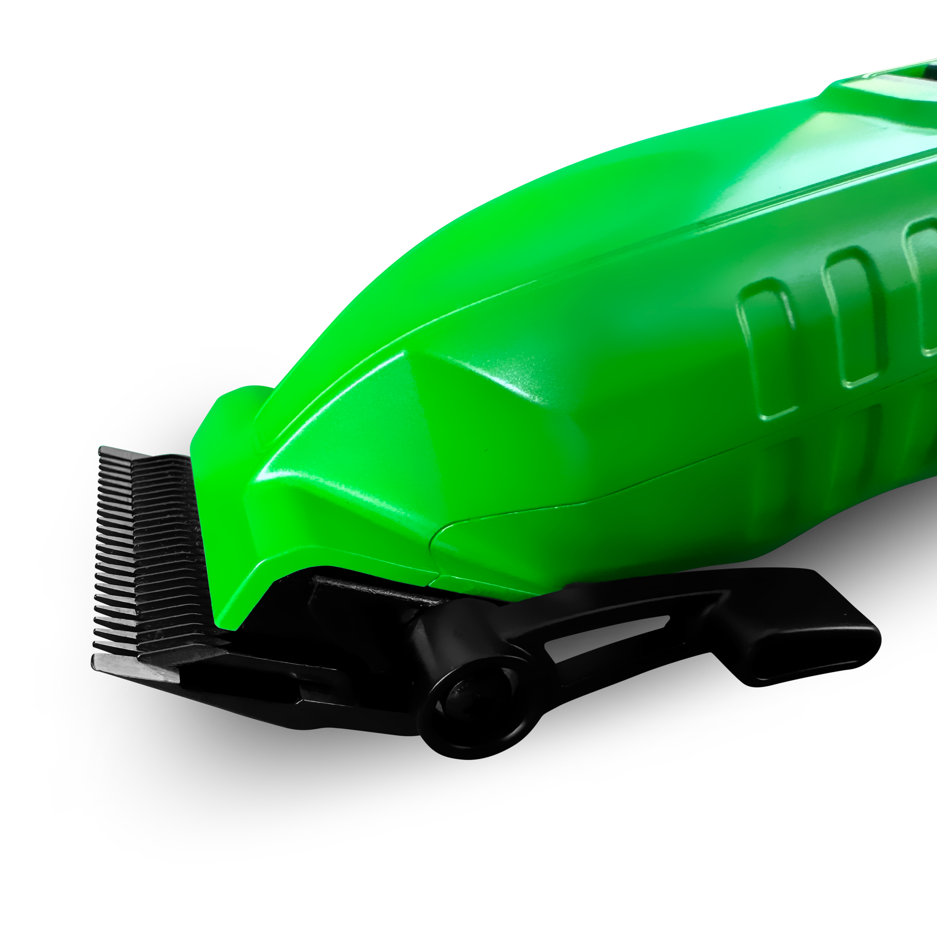 D17D0B86-D7D0-4CC3-9574-AC60F0CE30FA_2copy